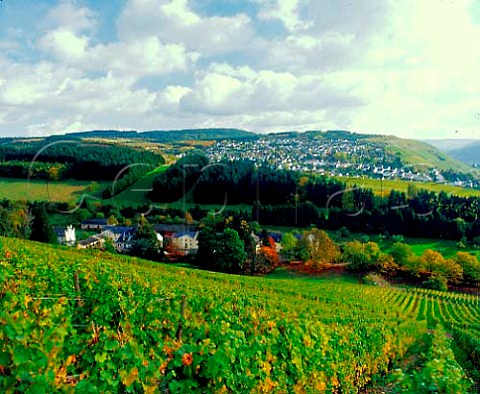 Karthuserhofberg vineyard above the Karthuserhof   monastery with Mertesdorf in the distance Ruwer   Germany   Mosel