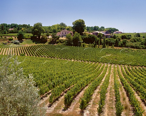 Chteau Branda and vineyards Lussac  Gironde France LussacStmilion