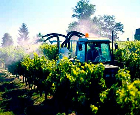 Spraying vineyard at Mattetournier   near CastillonlaBataille Gironde France   Ctes   de Castillon