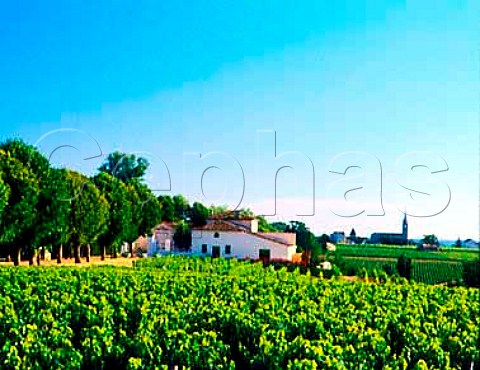 Chteau Belles Graves viewed over its vineyard    LavaudNac Gironde France  LalandedePomerol