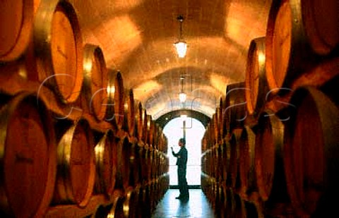 Worker tasting wine from barrel in the   cellars of Mastroberardino   Atripaldi Campania Italy
