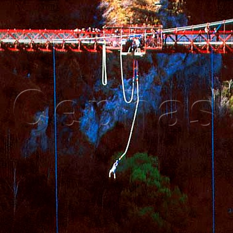 Bungy jumping in the Kawarau River Gorge   near Queenstown New Zealand