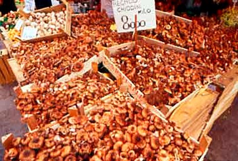 Mushrooms at the vegetable market of   Campo Battisti San Polo Venice Italy