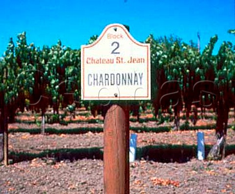 Sign in Chardonnay vineyard of Chateau St Jean   Kenwood Sonoma Co California  Sonoma Valley