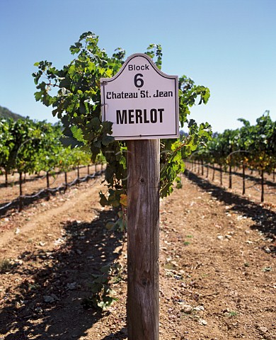 Sign in Merlot vineyard of Chateau St Jean   Kenwood Sonoma Co California  Sonoma Valley