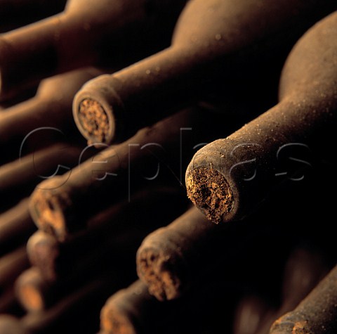 Bottles of Il Poggio Riserva in the cellars   of Monsanto Barberino Val dElsa Tuscany Italy    Chianti Classico