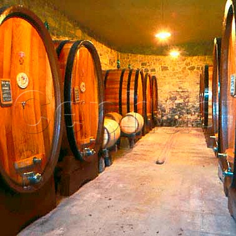 Barrel cellar of Castello di Verrazzano   Greve in Chianti Tuscany Italy    Chianti Classico