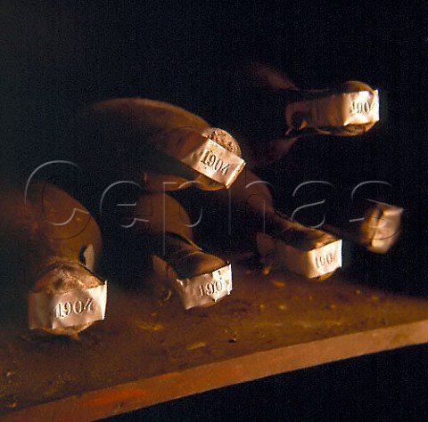 Bottles of 1904 Chianti in the cellars of   Castello di Querceto Greve in Chianti   Tuscany Italy