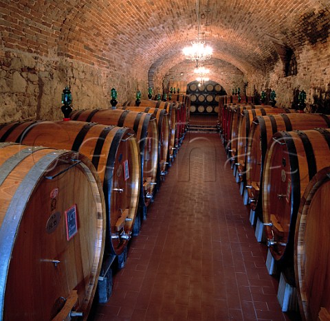 Barrel cellar of Vignamaggio Greve in Chianti   Tuscany Italy Chianti Classico