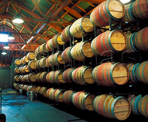 Barrel room of Frogs Leap Winery Rutherford   Napa Co California USA