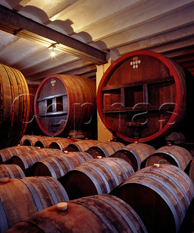 Barrels and barriques in the cellars of Los Cerros de San Juan Colonia Uruguay