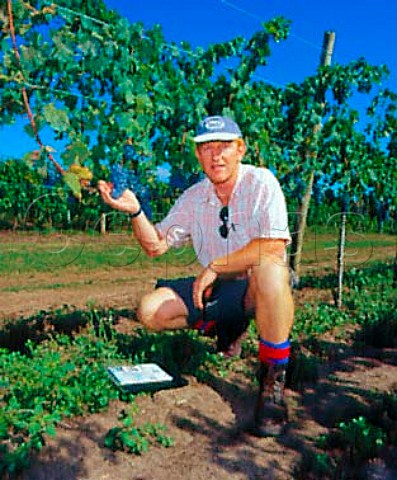Duncan Killiner of New Zealand a consultant   oenologist to various Uruguayan wineries   Here in vineyard of Bodegas Carlos Pizzorno   Canelones Uruguay