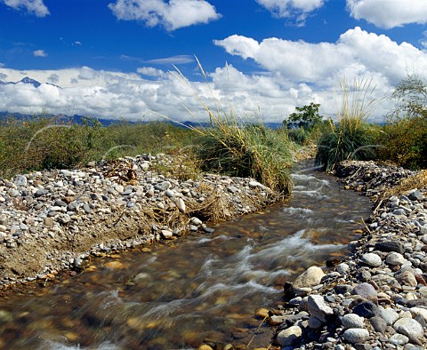 Irrigation channel which supplies the vineyards of   Bodega Lurton Tunuyan Mendoza province Argentina   Uco Valley