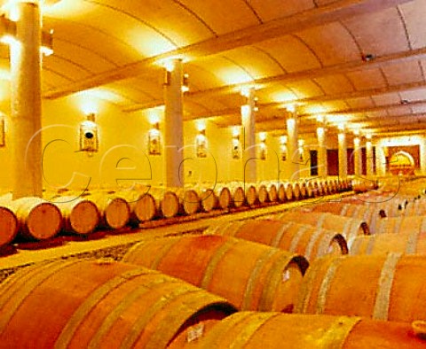 Barrel cellar of Odfjell Vineyards   Padre Hurtado Chile       Maipo