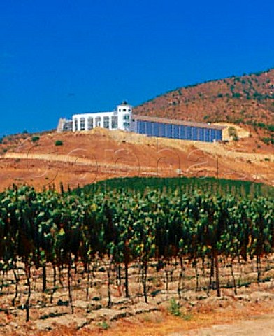 Indomita winery and vineyard in the   Casablanca Valley Chile  Casablanca