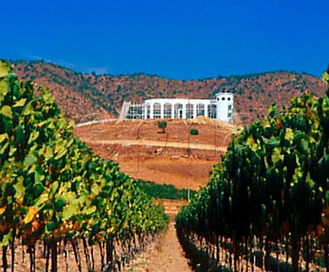 Indomita winery and vineyard in the   Casablanca Valley Chile  Casablanca