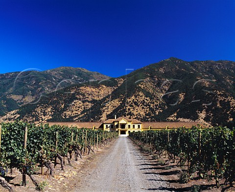 Vineyard and winery of Via Selentia at Angostura in   the Colchagua Valley Chile       Rapel