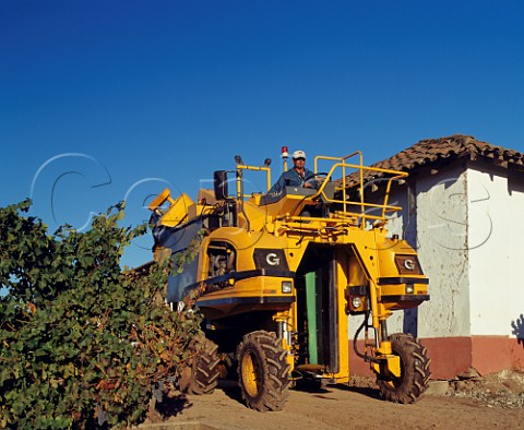 Harvesting machine in vineyard of Viu Manent  Chile     Colchagua  Rapel