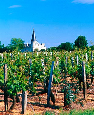 Chteau Verdignan and its vineyard   StSeurindeCadourne Gironde France   Mdoc Cru Bourgeois Suprieur