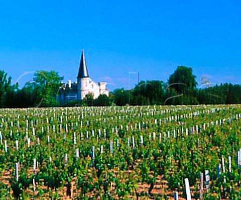 Chteau Verdignan and its vineyard   StSeurindeCadourne Gironde France   Mdoc Cru Bourgeois Suprieur