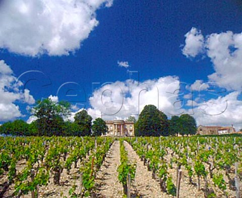 Chteau de Marbuzet and its vineyard   StEstphe Gironde France  Mdoc Cru Bourgeois  Bordeaux