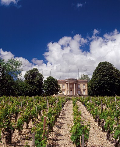 Chteau de Marbuzet and its vineyard   StEstphe Gironde France  Mdoc Cru Bourgeois  Bordeaux