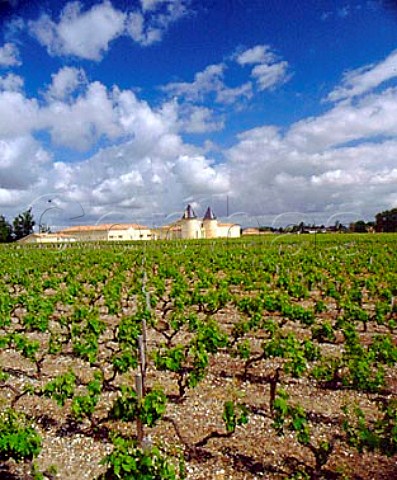 Chteau Lilian Ladouys and its vineyard    StEstphe Gironde France      Bordeaux  HautMdoc