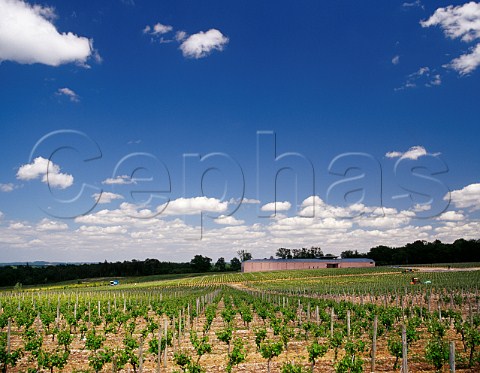 Chteau HautSelve and its vineyard Portets Gironde France Graves  Bordeaux