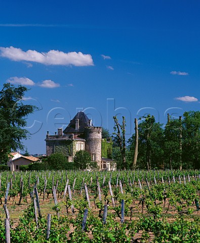 Chteau du Seuil and its vineyard Crons   Gironde France      Crons  Bordeaux