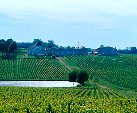 Chteau Cantin and its vineyard   StChristophedesBardes Gironde France    Stmilion  Bordeaux