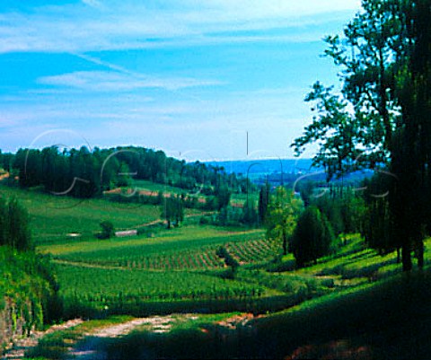 Vineyards of Chteau Laroque   StChristophedesBardes Gironde France    Stmilion  Bordeaux