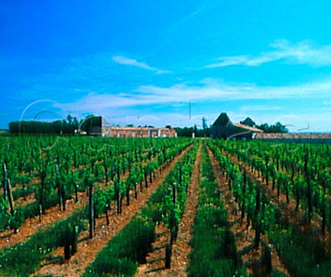 Chteau Laroque and its vineyard   StChristophedesBardes Gironde France        Stmilion  Bordeaux