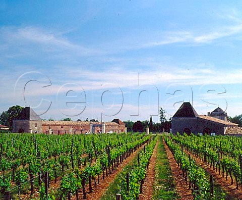 Chteau Laroque and its vineyard   StChristophedesBardes Gironde France        Stmilion  Bordeaux