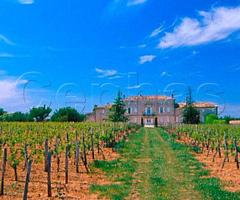 Chteau de Barbe Blanche viewed from its vineyard    Gironde France     LussacStmilion  Bordeaux