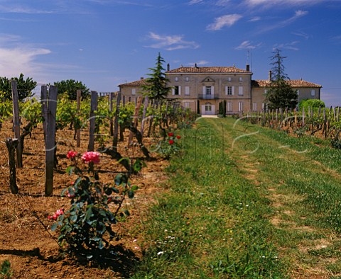 Chteau de BarbeBlanche viewed from its vineyard Gironde France     LussacStmilion  Bordeaux