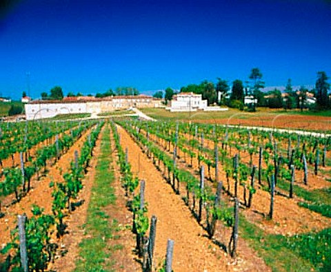 Chteau Haut Piquat and its vineyard Lussac   Gironde France  LussacStmilion  Bordeaux