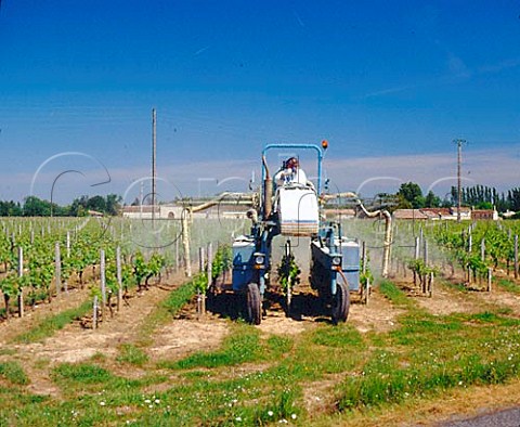 Spraying vineyard of Chteau Bertineau StVincent   Gironde France  LalandedePomerol  Bordeaux