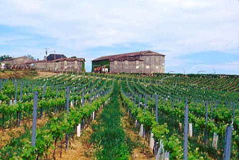 Chteau Lyonnat and its vineyard   Lussac Gironde France    LussacStmilion  Bordeaux