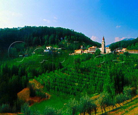 Church and vineyards Rolle Veneto Italy     Prosecco di Conegliano Valdobbiadene