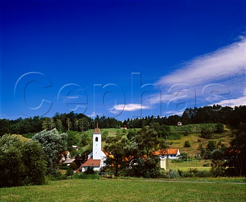 Church and vineyard Zaki Slovenia    Haloze