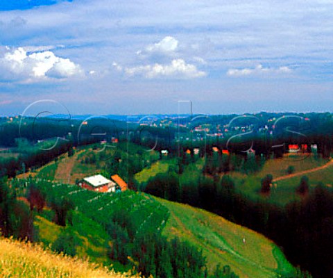 Hilltop vineyards and farms near border with   Croatia Slovenia    Haloze