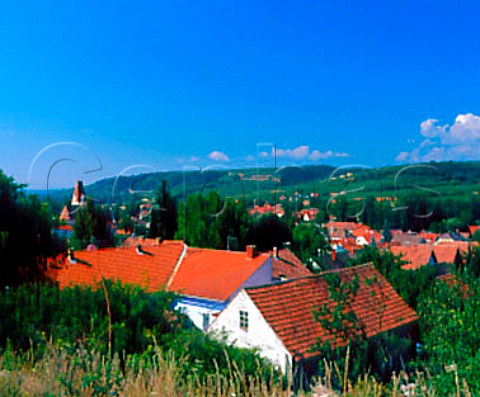 Schnberg village and vineyards in the Kamp valley   Austria    Kamptal