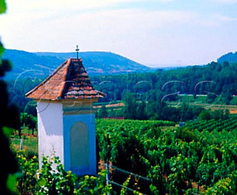 Small shrine in vineyard near Schnberg Austria     Kamptal