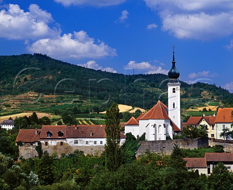 Church and vineyards Stiefern Austria    Kamptal