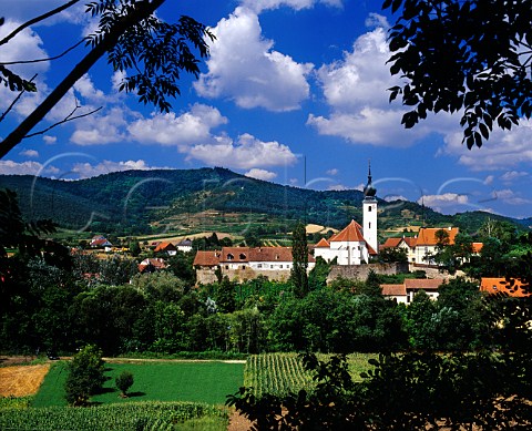Church and vineyards Stiefern Austria    Kamptal