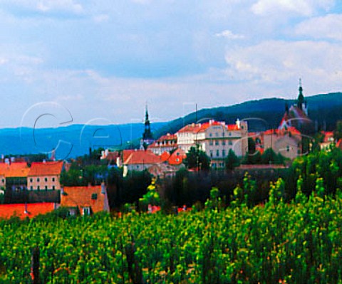 Weinzierlberg vineyard Krems Austria    Kremstal