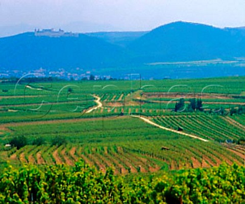 Vineyards above Rehberg with Gttweig Abbey in the   distance Austria    Kremstal