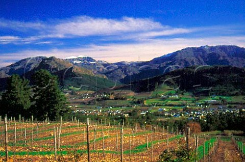 View from vineyards of Dieu Donn down  to Franschhoek South Africa   Paarl