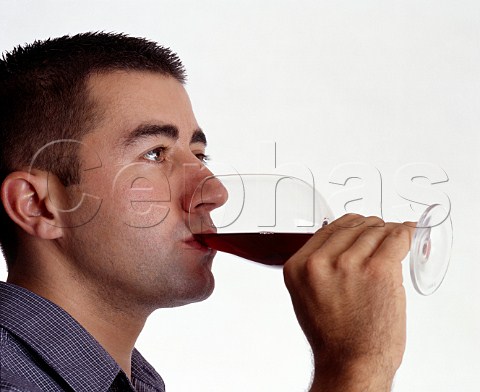 Tasting red wine