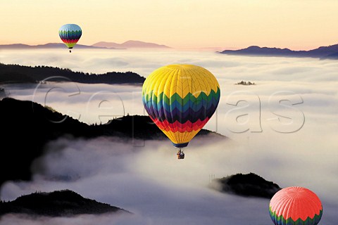 Hotair balloons over the fogfilled Napa Valley   California       Digital montage